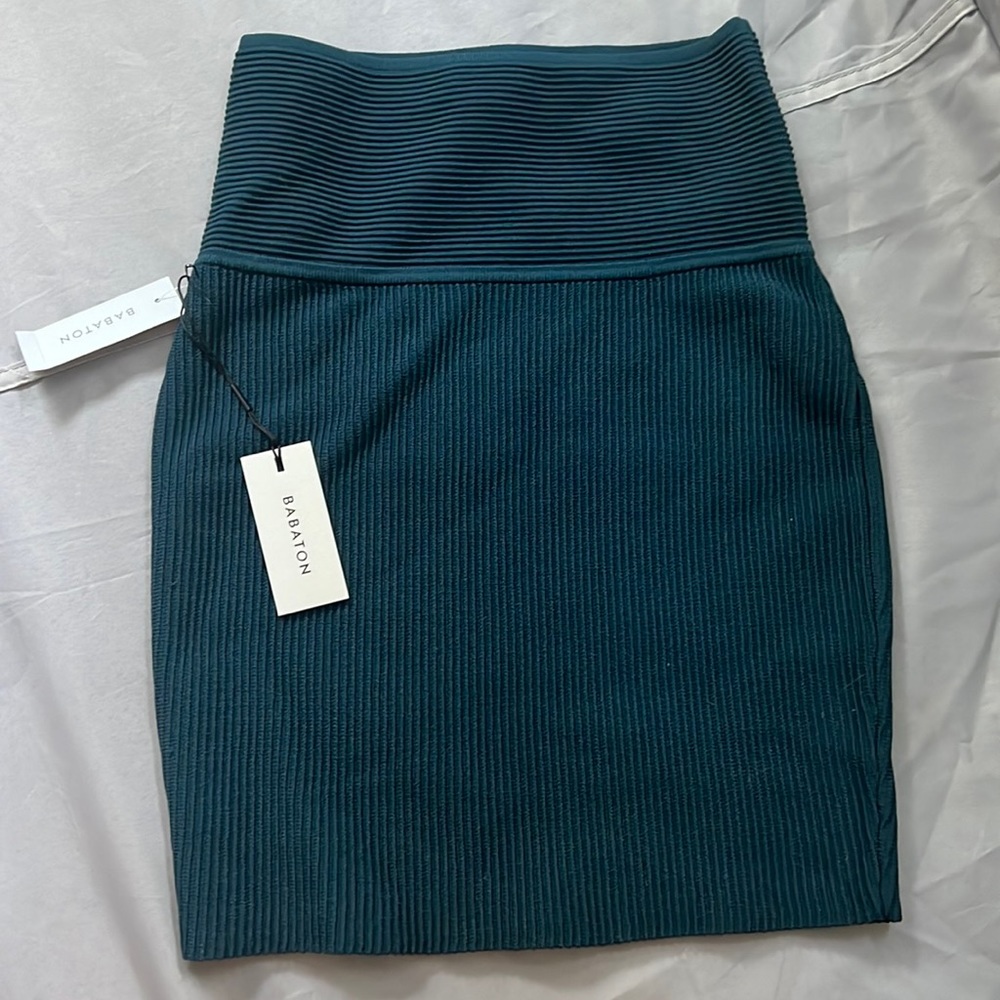Aritzia Babaton fitted ribbed skirt.